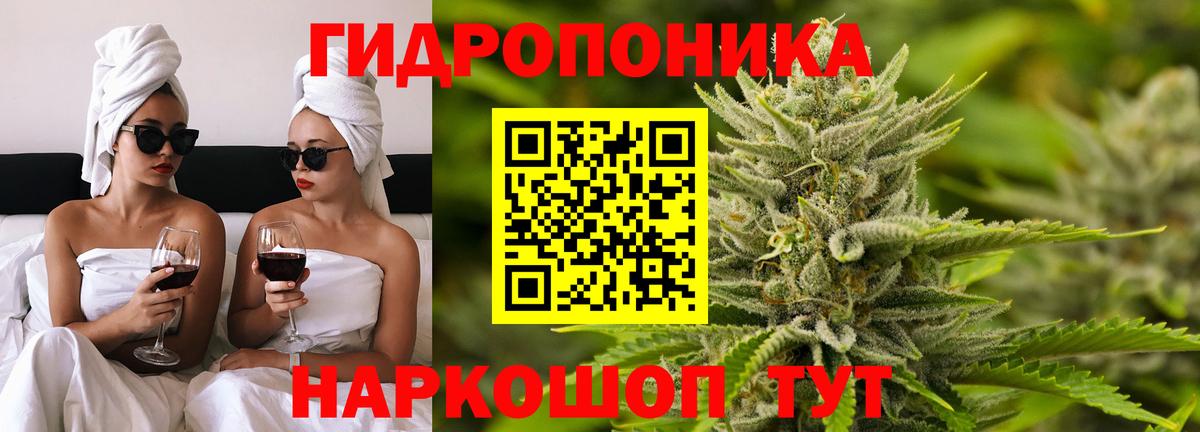 Канабис план Славянск-на-Кубани